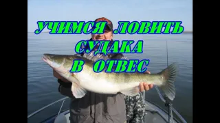Учимся ловить судака в отвес. Видео.