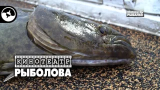 Рыбалка на Курилах. Палтус | Кинотеатр рыболова. Часть первая