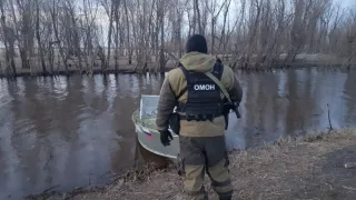 Рыбнадзор брал взятки
