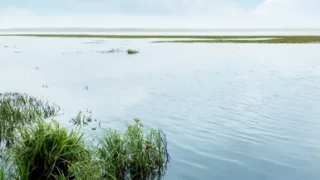 Тарманские озера Тюменская область