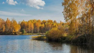 Старица деревня Решетникова