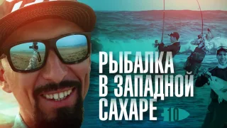Рыбалка в пустыне