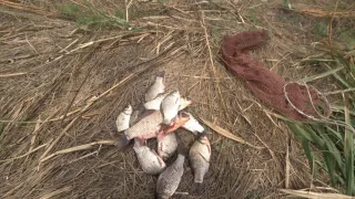Ловля на ПОПЛАВОК и ПРУЖИНУ. Карась/Белый АМУР/ Сазан