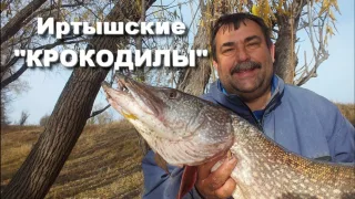 Рыбалка на трофейную щуку. Щука 19кг 600гр. Река Иртыш