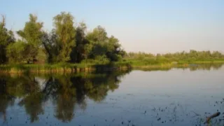 Озеро Обермоунджи Саратовская область
