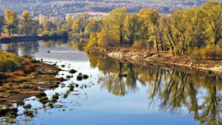 Река Сок Самарская область