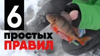 Как ловить зимой окуня? Чёткая схема действий.