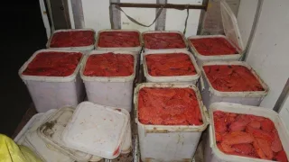 Более тонны красной икры.
