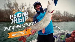 Ловля Донских трофеев на спиннинг в ноябре р. Дон- Рыбий Жыр (выпуск 6)