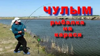 Клёвая рыбалка на реке Чулым. Крупные караси.