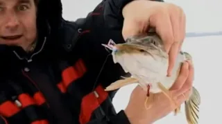 Зимняя ловля щуки со льда