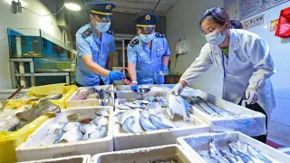 Китай блокирует российский рыбный рынок из-за коронавируса