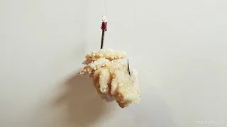 Геркулесовые хлопья - это отличная насадка для ловли рыбы