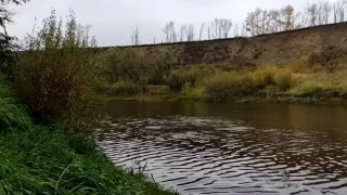 Рыбалка на р. Омь в Омской области 5 октября 2024