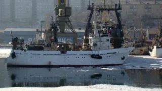 Российские учёные оценят рыбные запасы на Северном Каспии