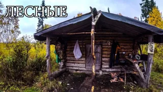 Жизнь в дикой природе, трофеи, люди Севера, тайга, оружие, Фильм 2017