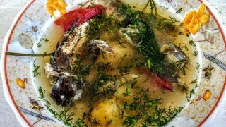 Тройная уха из карася