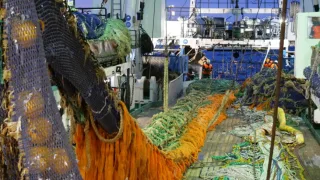 Российские рыбаки выловили более 2,24 млн тонн – на 4,5% выше уровня прошлого года