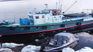 Золотая рыбка. Фильм Сергея Герасимова