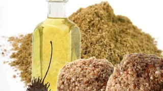 Масла и ароматизаторы для рыбалки