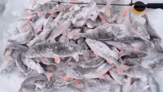 Рыбалка на Горе море. Городецкий район. 20. 12. 2022