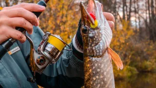 5 ошибок при ловле на спиннинг