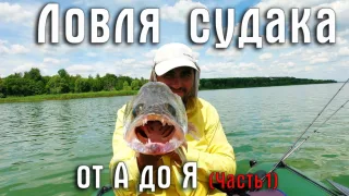 Где обитает судак?