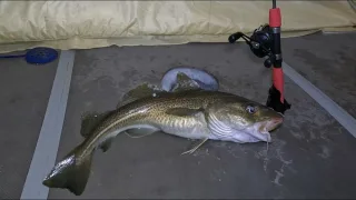 МОРСКАЯ ЗИМНЯЯ РЫБАЛКА СО ЛЬДА