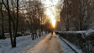 От Покрова до еловых шишек: как по датам октября и подсказкам природы узнать характер грядущей зимы