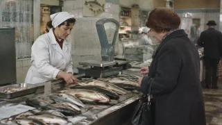Раньше копейки, а сейчас — деликатес: сколько стоила рыба в СССР, если перевести цены на наши зарплаты