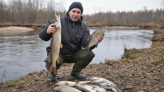 Осенний хищник "сменил прописку": 5 ошибок, которые оставят вас с пустым садком