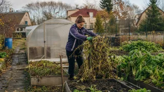 Советы агронома: как грамотно подготовить сад и ягодники к зимней спячке в октябре