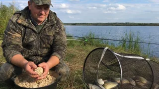 Сосед ушел с пустым садком, а я тащу полный: 4 простые крупы и 2 порошка для идеальной каши на карася
