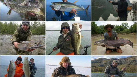 Рыбацкое эльдорадо: 10 стран, где даже новичок уйдёт с трофеем — здесь клёв будто по заказу