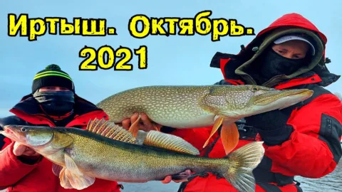 Рыбалка на Иртыше Октябрь 2021 Судаки не дают скучать, щука на джиг