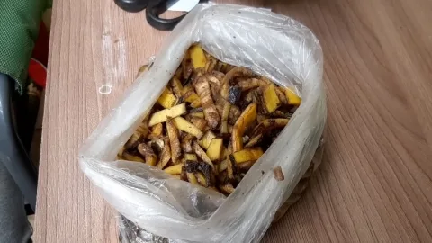 Как избавится от муравьев при помощи банановой кожуры