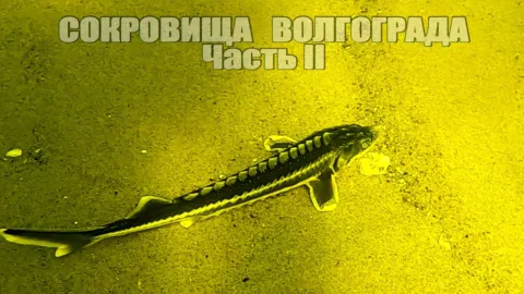 Подводная Охота. Два дня охоты на Волге 2023 - Часть 2
