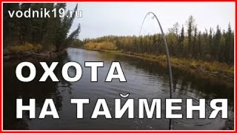 Атака ТАЙМЕНЯ НА МЫША днем!