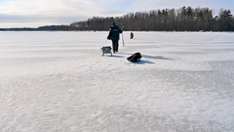 Как раскачать лунку зимней блесной