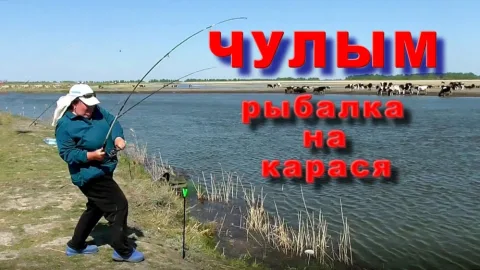 Клёвая рыбалка на реке Чулым. Крупные караси.