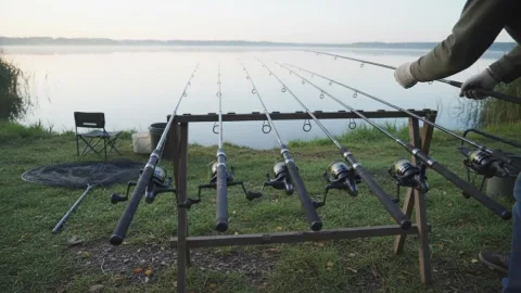 Топ 5 карповых удилищ