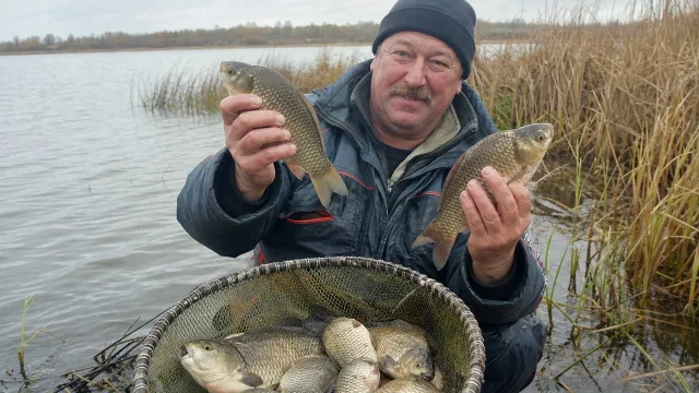 Иду на карася в самый дождь — и всегда остаюсь с полной корзиной рыбы: 4 безотказных секрета осеннего клева