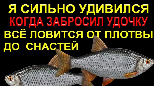РЕКА СУХОНА ВСЕГДА УДИВЛЯЛА ТРОФЕЯМИ!