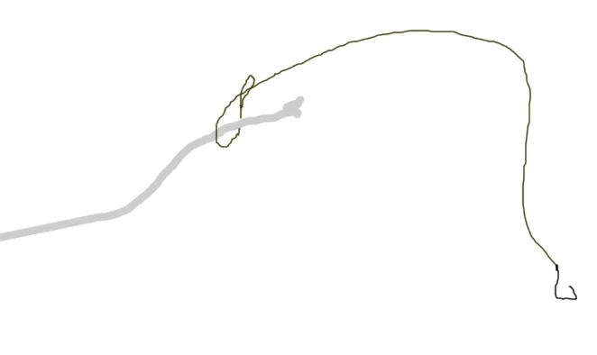 content_img.png