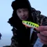 Vasya