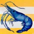 MoreFishes