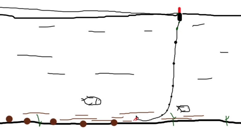 content_img.png