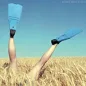 Рахвалов