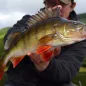 Керилл Чернов