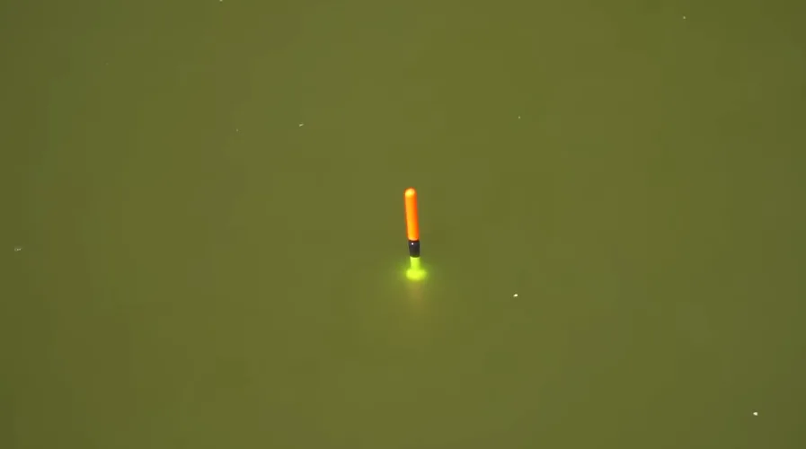 content_img.png